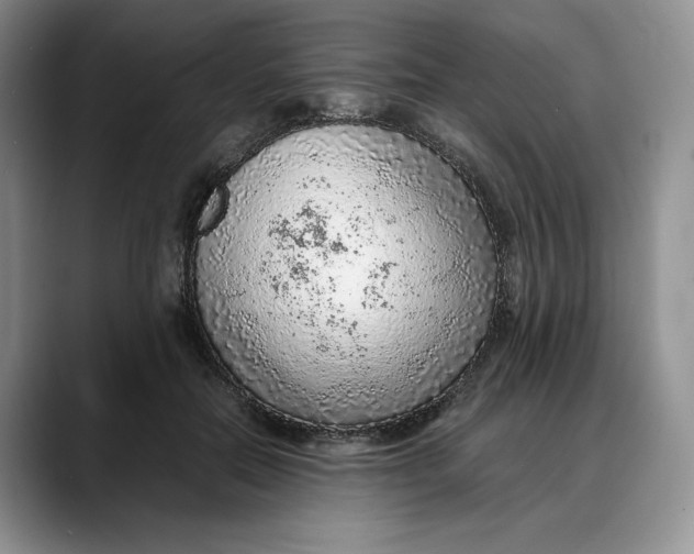 X0000088420554200706121434