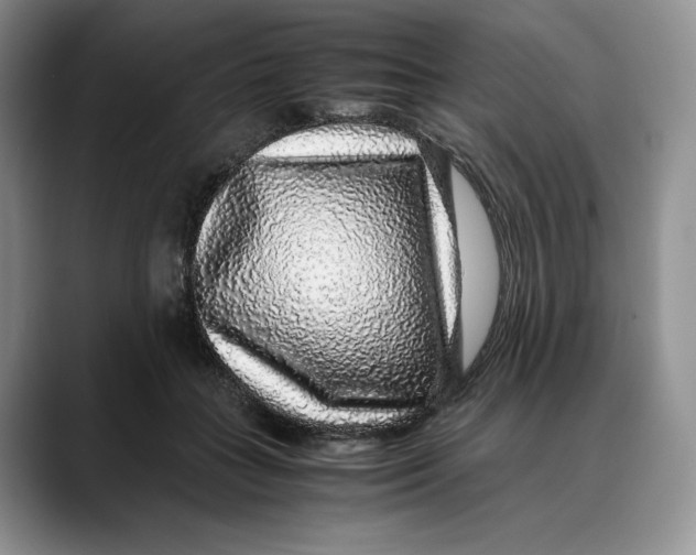 X0000088420555200706121434