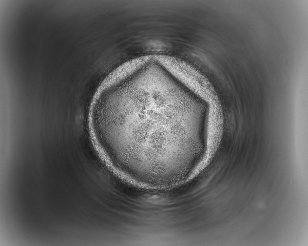 X0000088420557200706121434