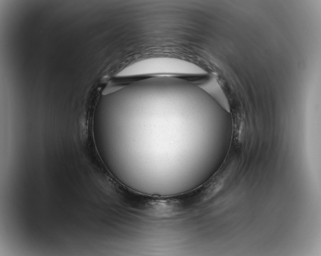 X0000088420558200706121434
