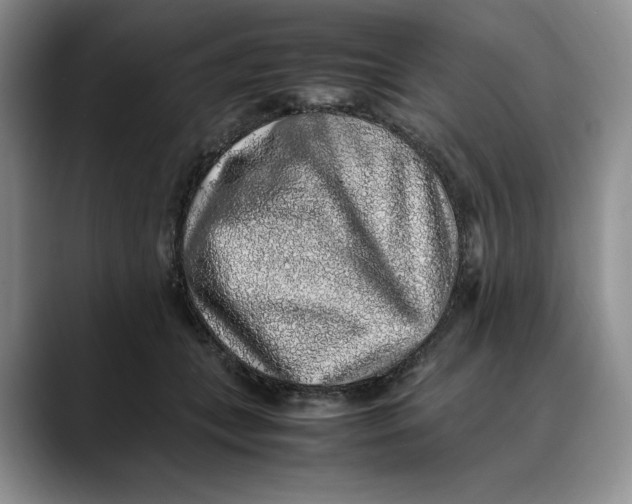 X0000088420559200706121434