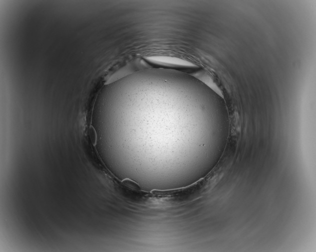 X0000088420560200706121434