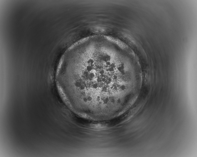 X0000088420561200706121434