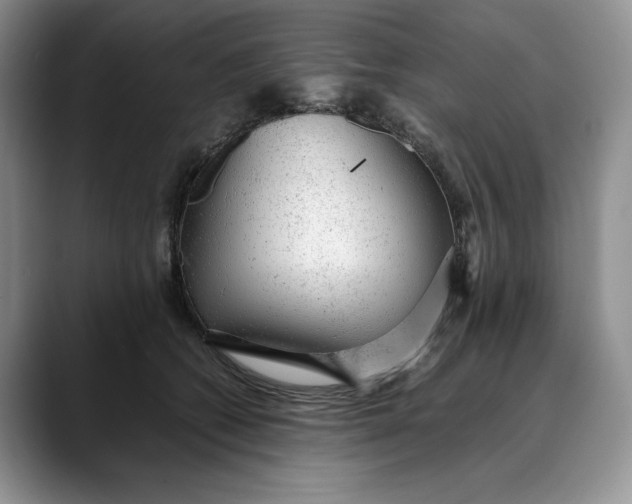 X0000088420562200706121434
