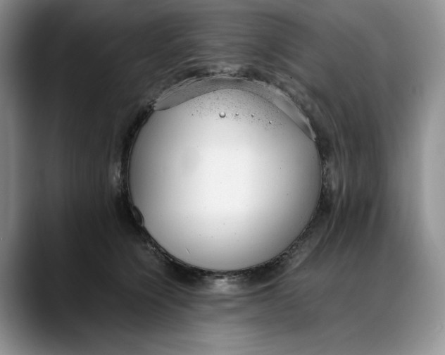 X0000088420564200706121434