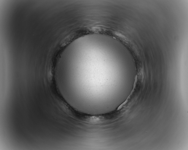 X0000088420566200706121434