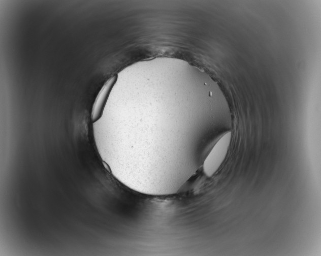 X0000088420570200706121434