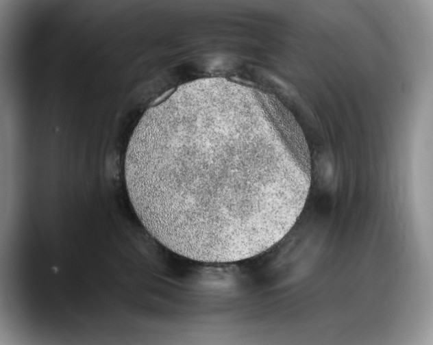 X0000088420571200706121434