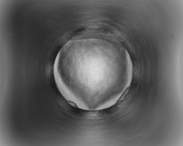 X0000088420574200706121435