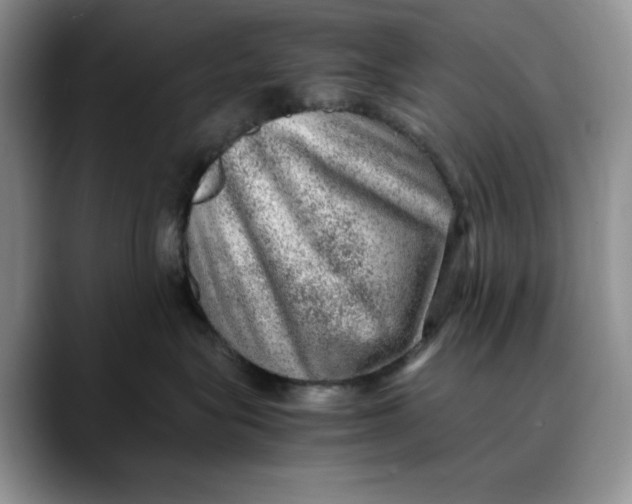 X0000088420575200706121435