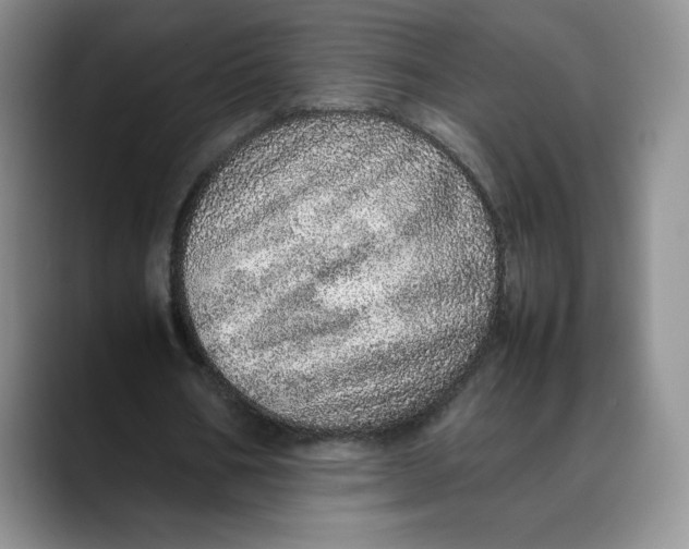 X0000088420578200706121434