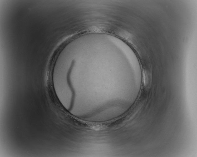 X0000088420579200706121434