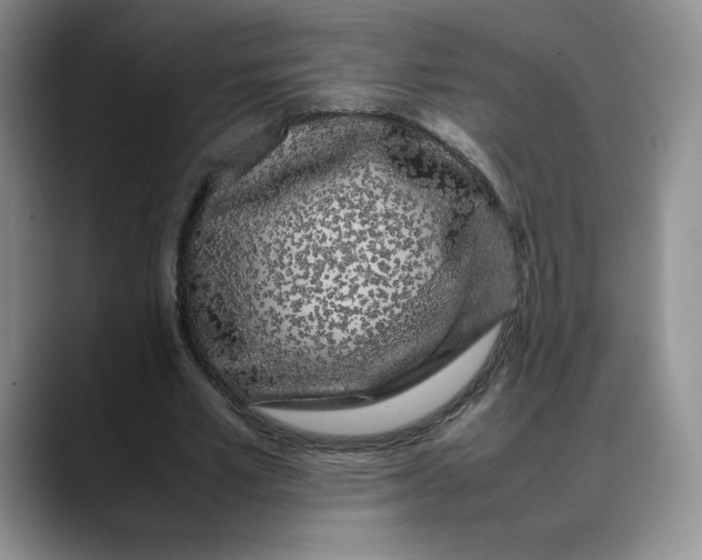 X0000088420581200706121434