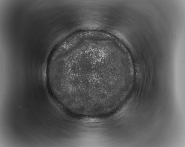 X0000088420582200706121434