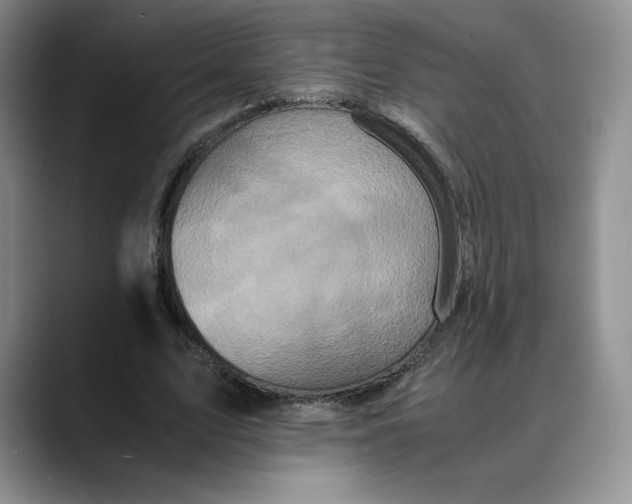 X0000088420583200706121434