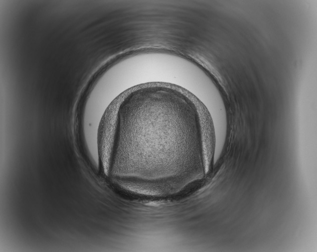 X0000088420584200706121434