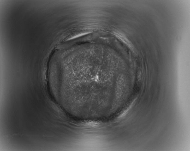 X0000088420585200706121434