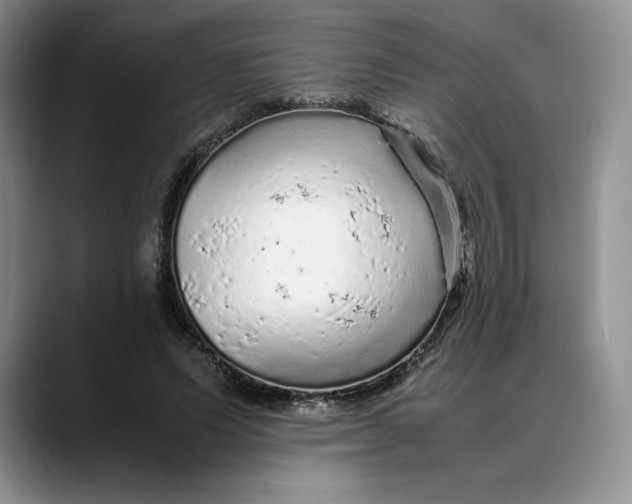 X0000088420591200706121434