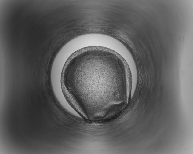 X0000088420593200706121434