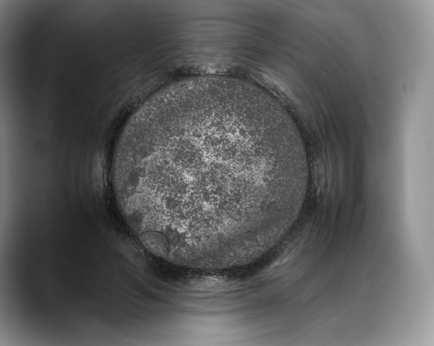 X0000088420594200706121434