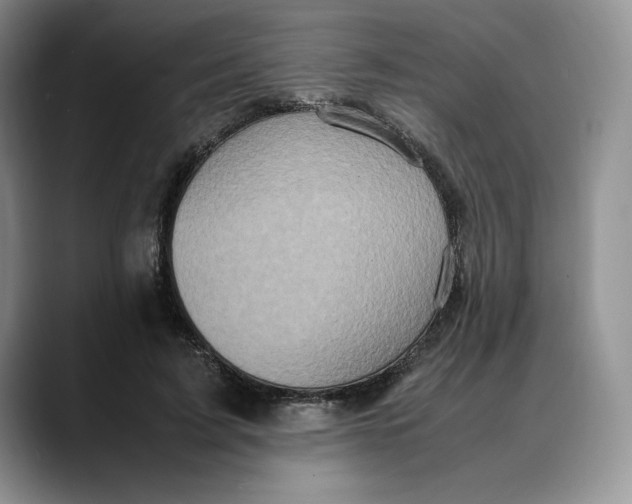 X0000088420595200706121434