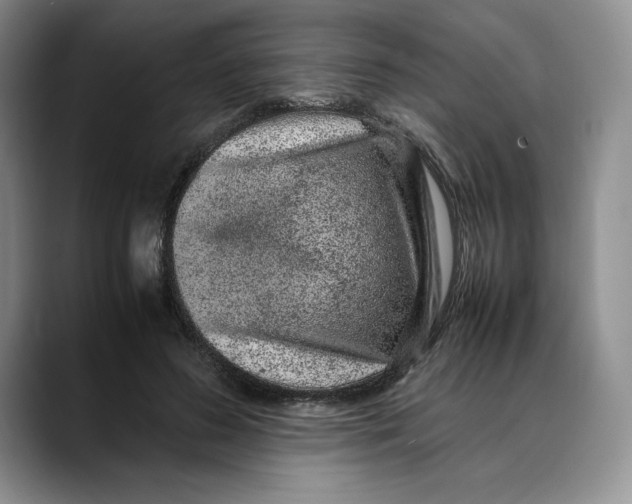 X0000088420596200706121434