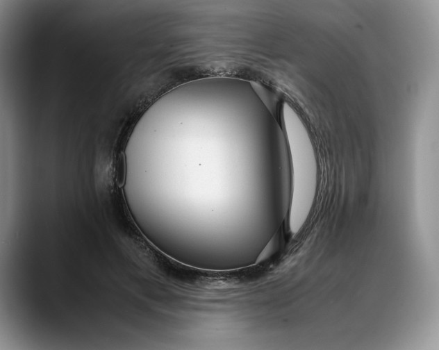 X0000088420597200706121434