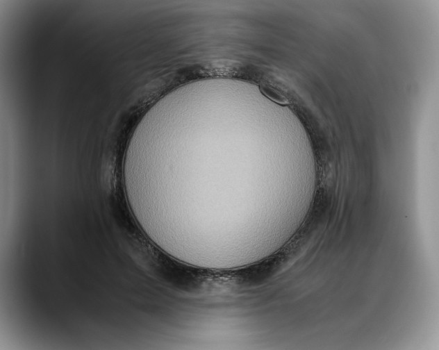 X0000088420599200706121434