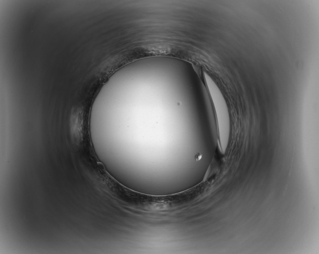 X0000088420600200706121434