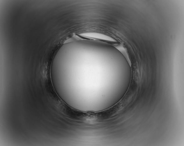 X0000088420604200706121434