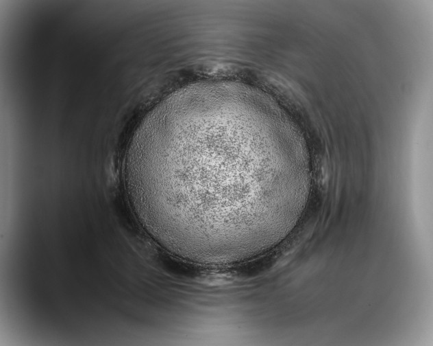 X0000088420607200706121434