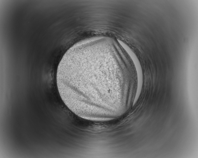 X0000088420608200706121434