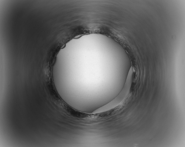 X0000088420609200706121434