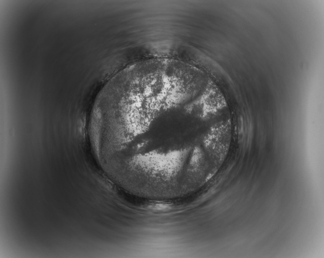 X0000088420610200706121434