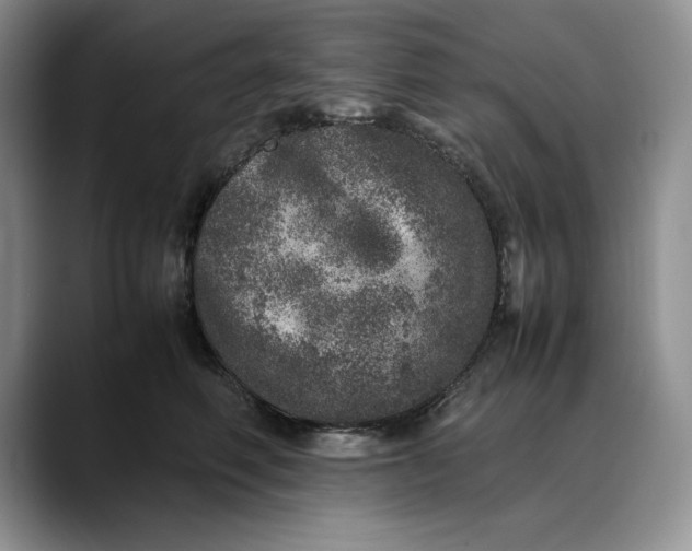 X0000088420614200706121434