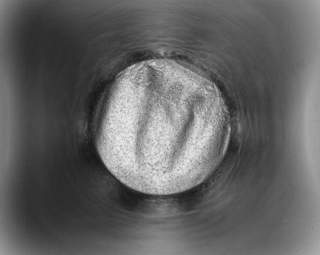 X0000088420615200706121434