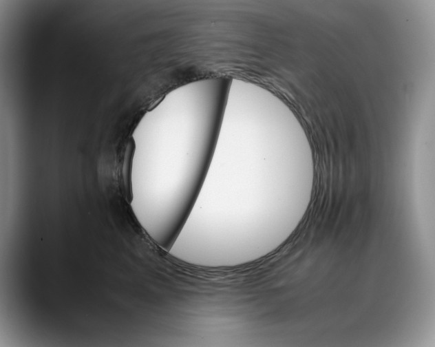 X0000088420617200706121434