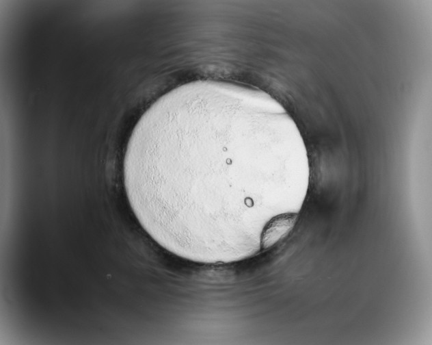 X0000088420619200706121433
