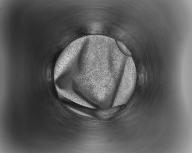X0000088420620200706121433