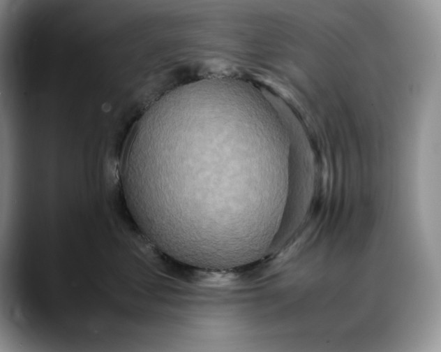 X0000088420621200706121433