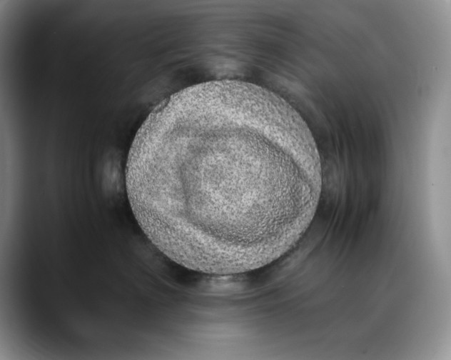 X0000088420622200706121433