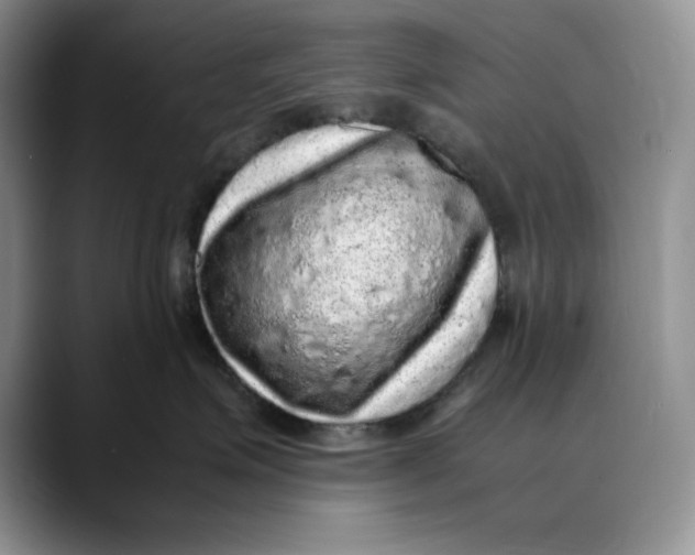 X0000088420623200706121433