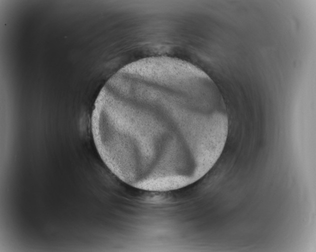 X0000088420624200706121433