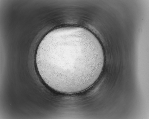 X0000088420625200706121433
