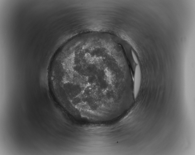 X0000088420626200706121433