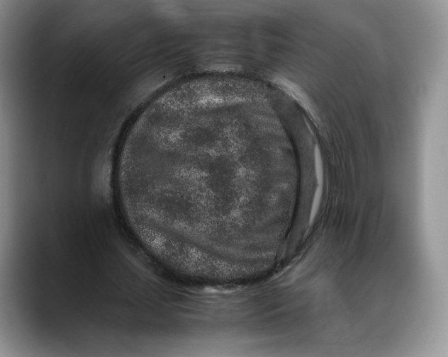 X0000088420627200706121433