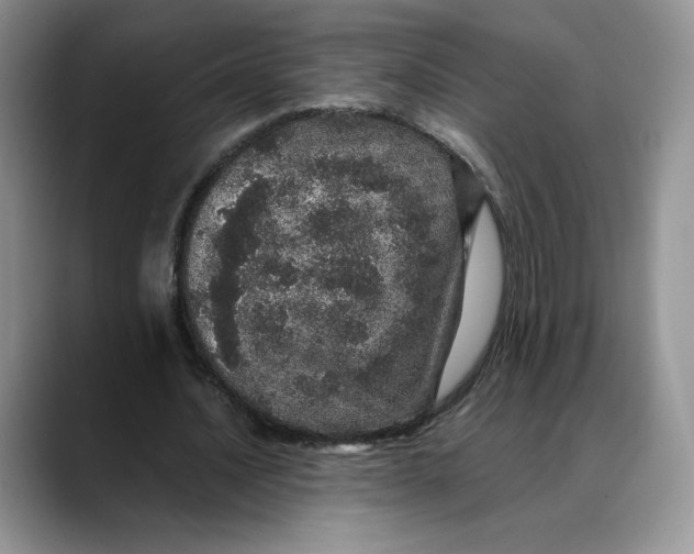 X0000088420628200706121433
