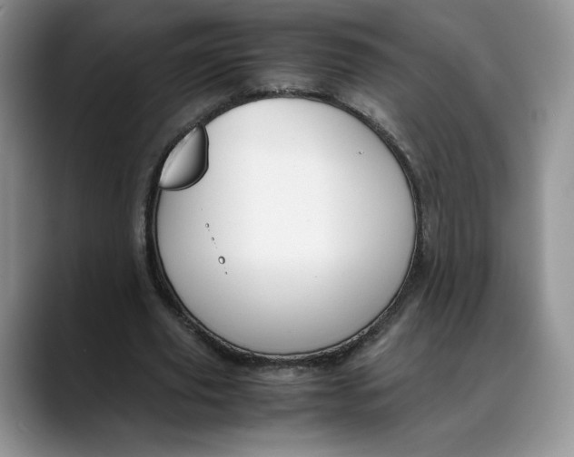 X0000088420629200706121433