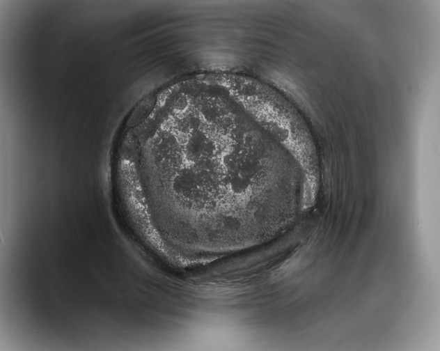 X0000088420630200706121433