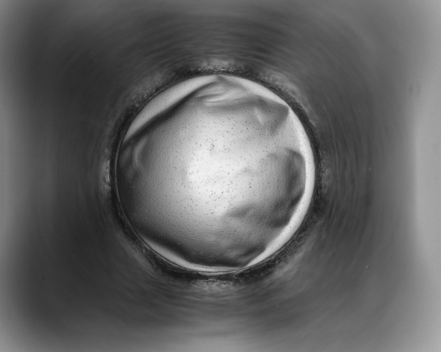 X0000088420633200706121433